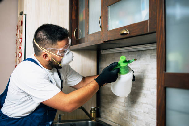 Best Cockroach Control Services  in Lutherville, MD