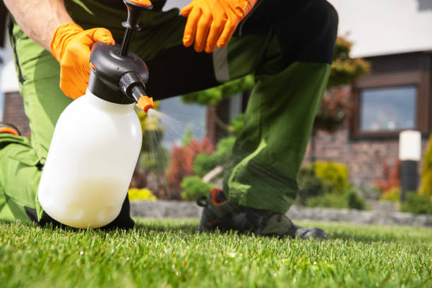 Bird Control in Lutherville, MD