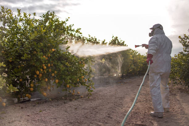 Best Mosquito Control Services  in Lutherville, MD