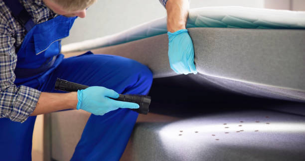 Best Affordable Exterminators  in Lutherville, MD