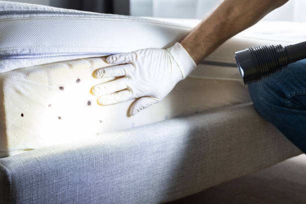 Best Wildlife Control Services  in Lutherville, MD